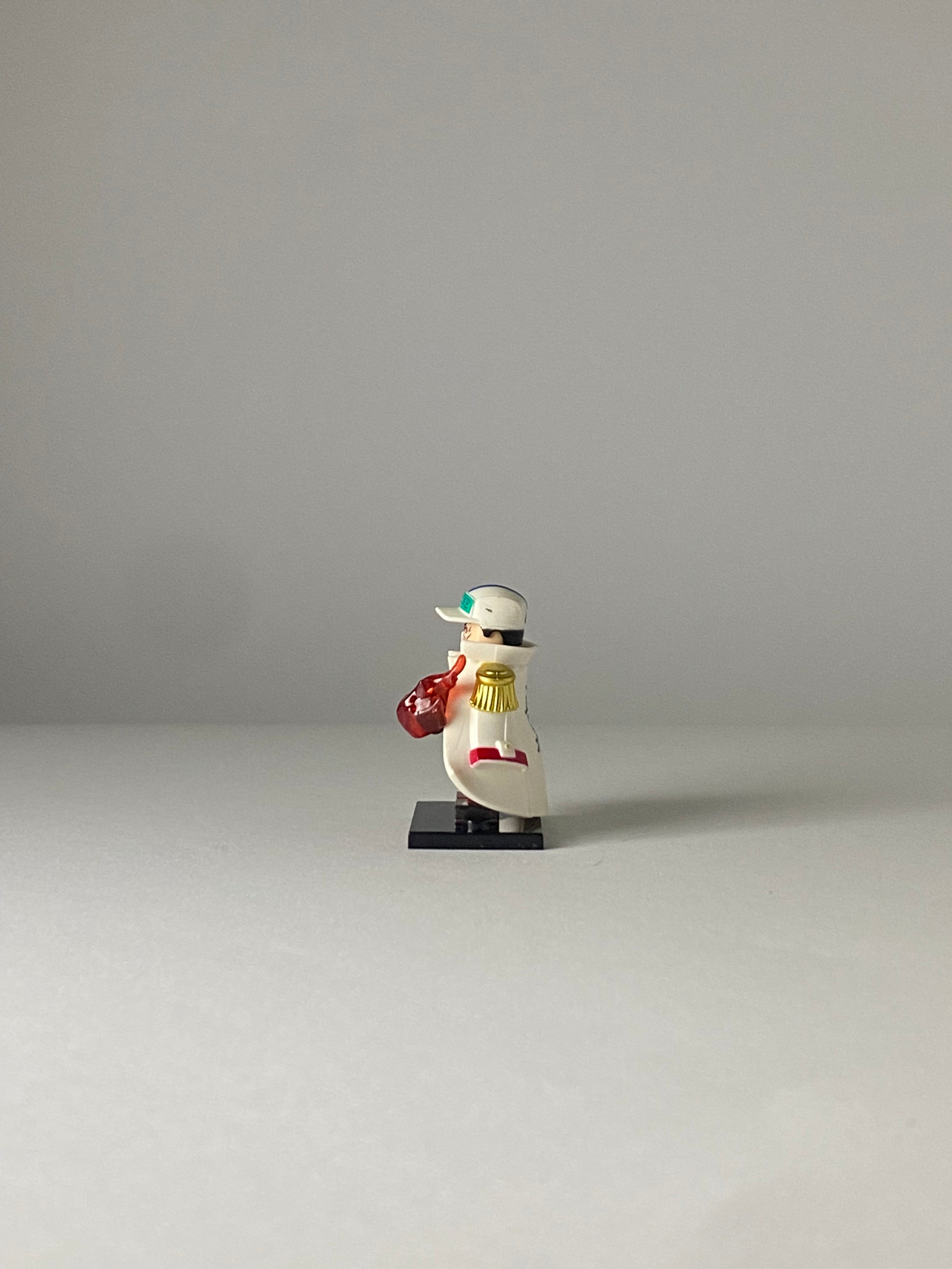 Admiral Akainu