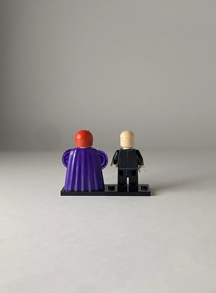 Magneto and Professor X