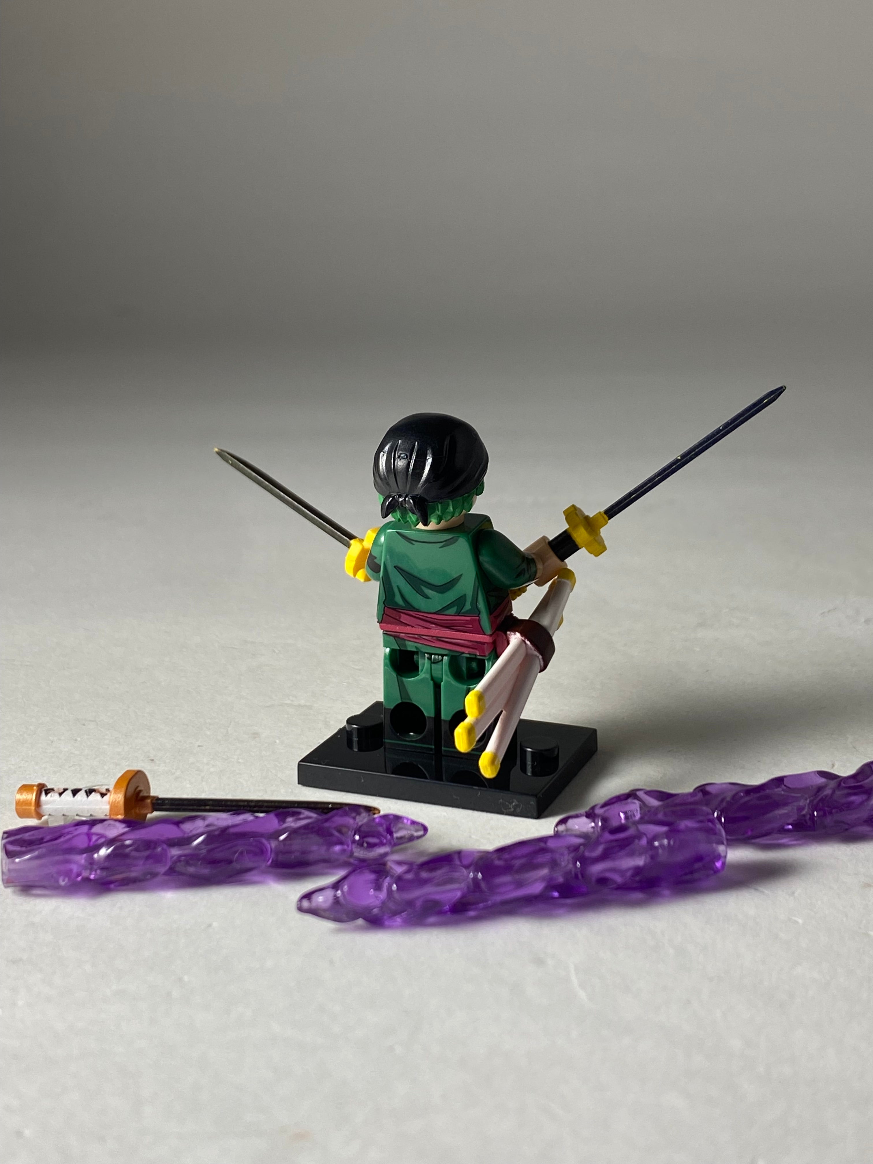 Zoro new world