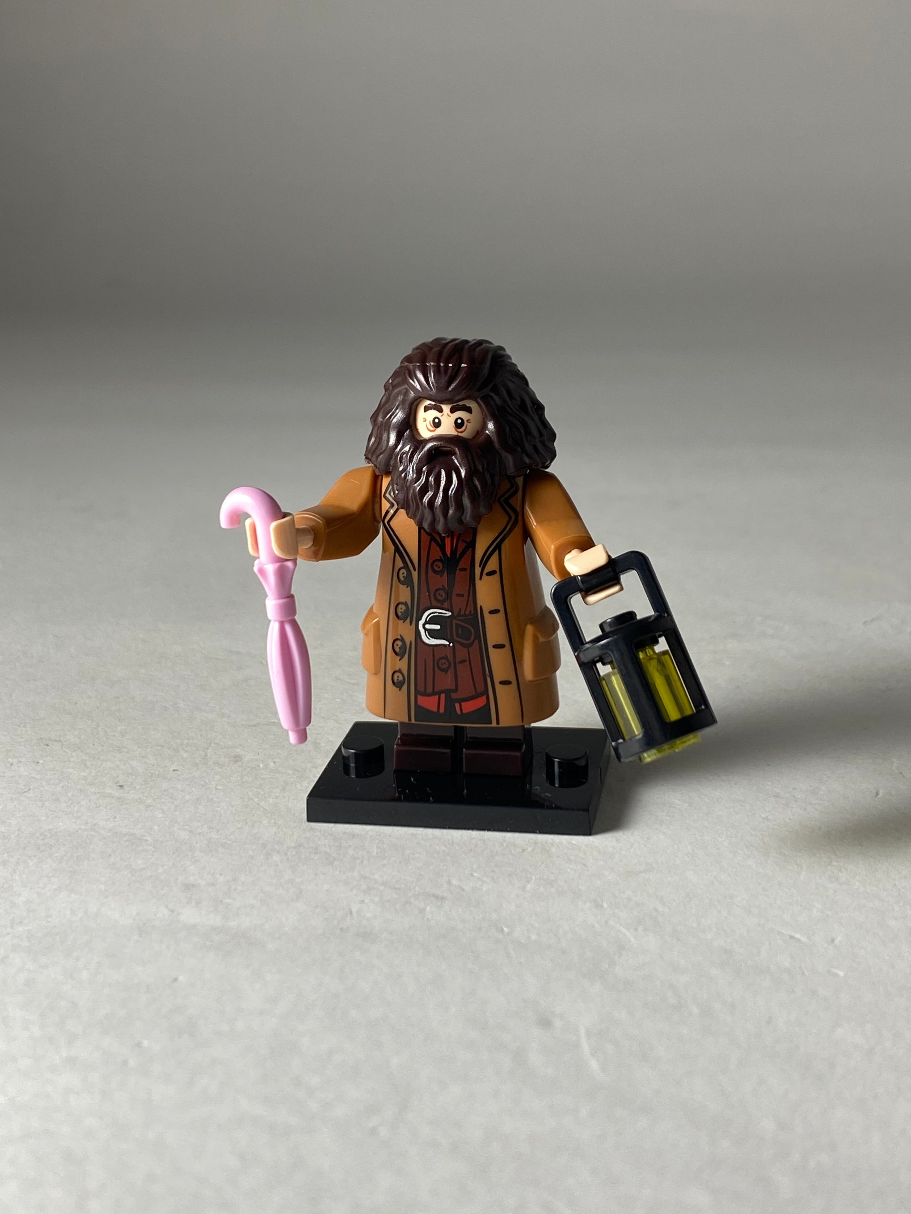 Rubeus Hagrid 2