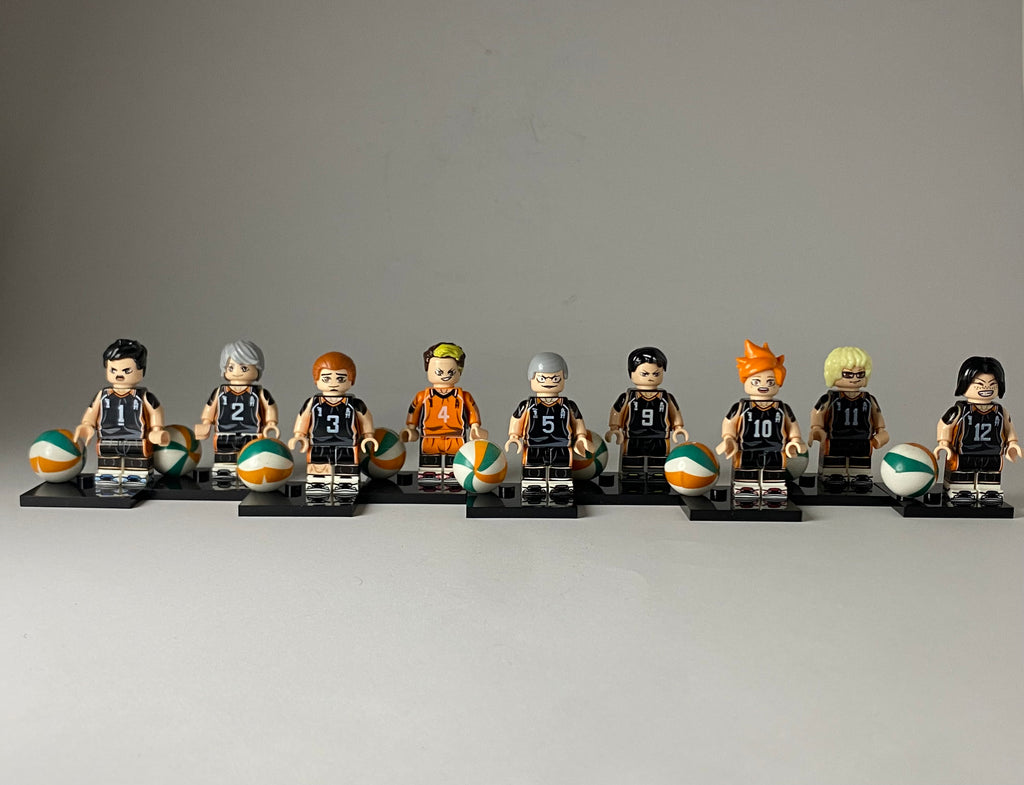 Haikyuu Karasuno Team