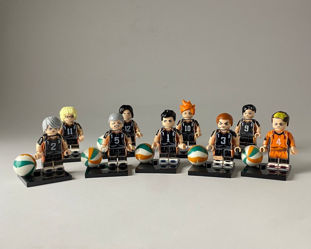 Haikyuu Karasuno Team