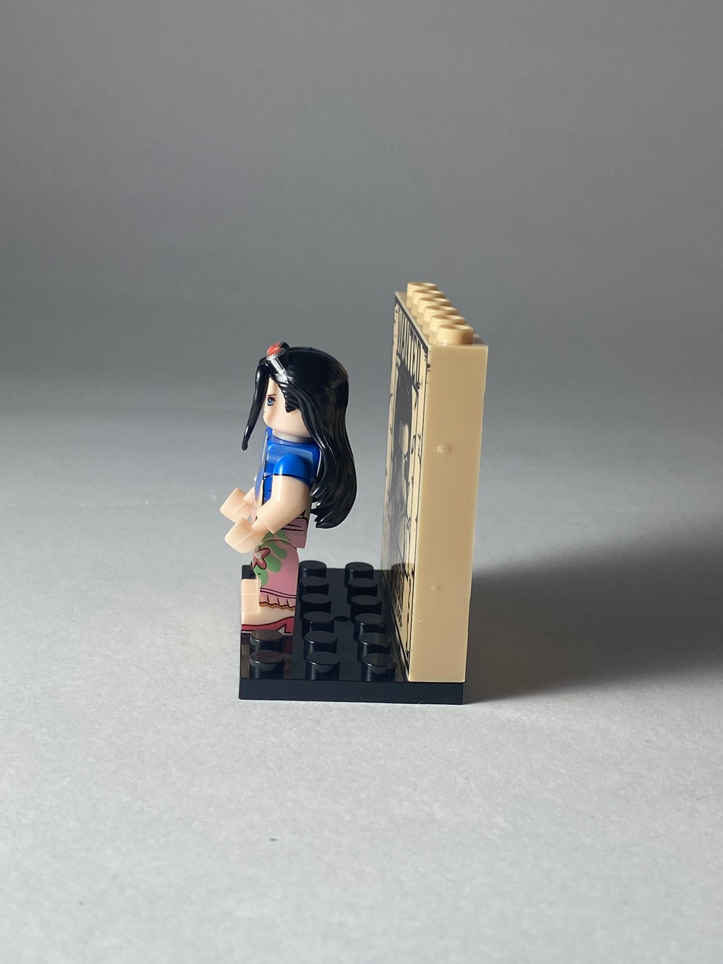 Nico Robin Wanted