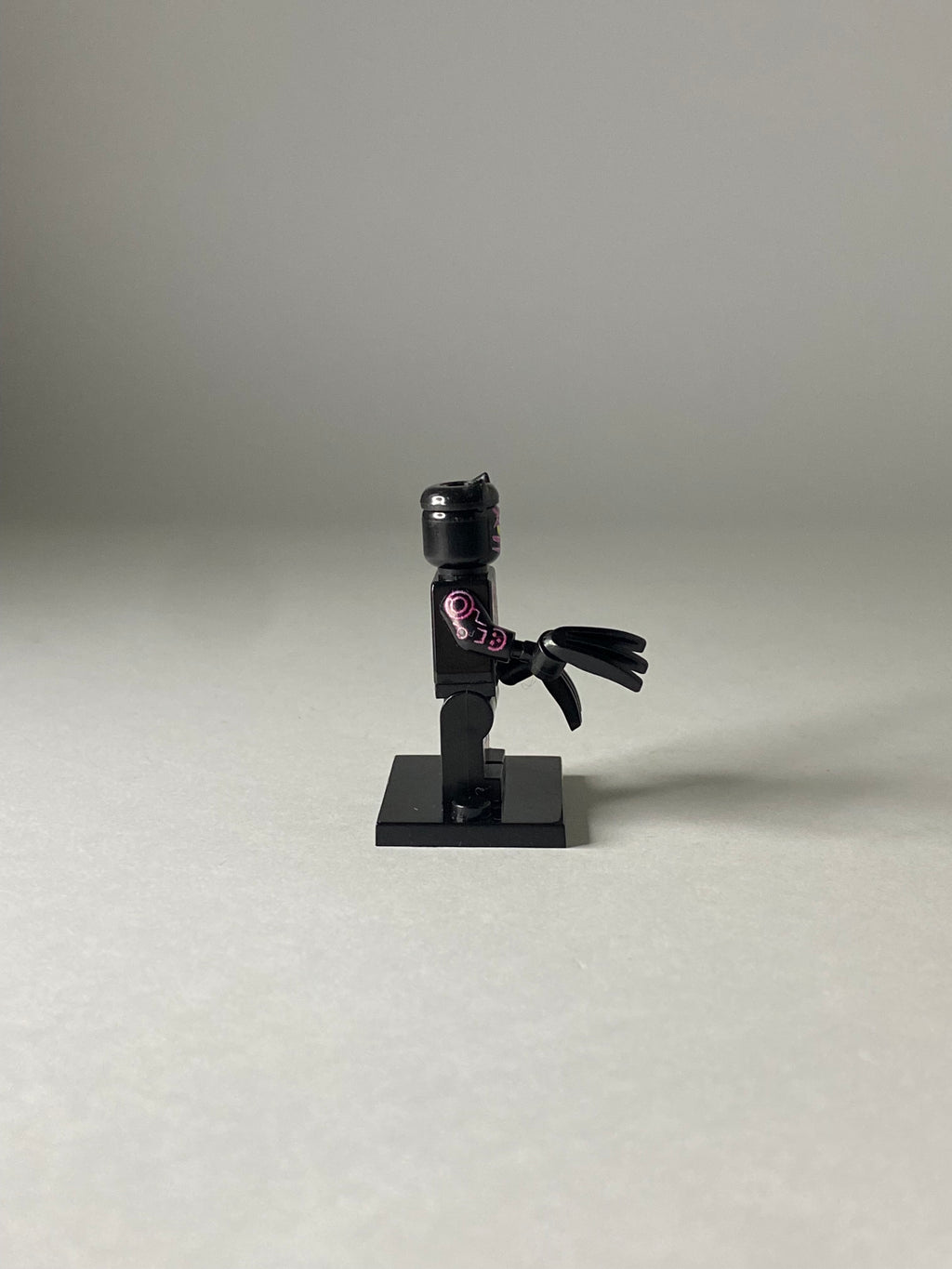 Black Panther rose