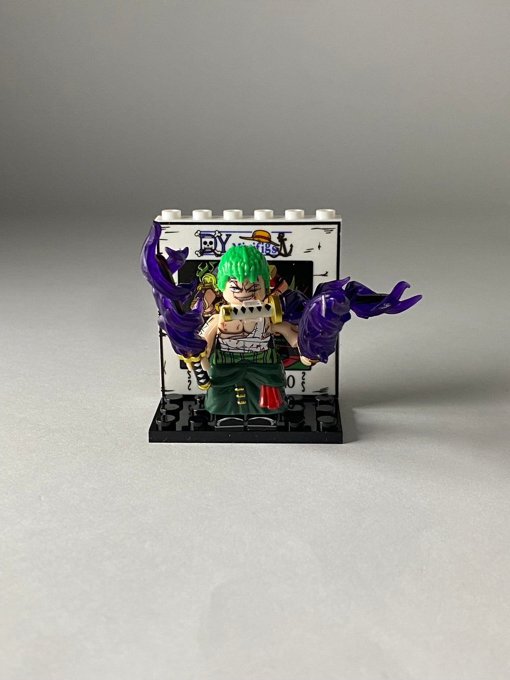 Zoro Fight with King