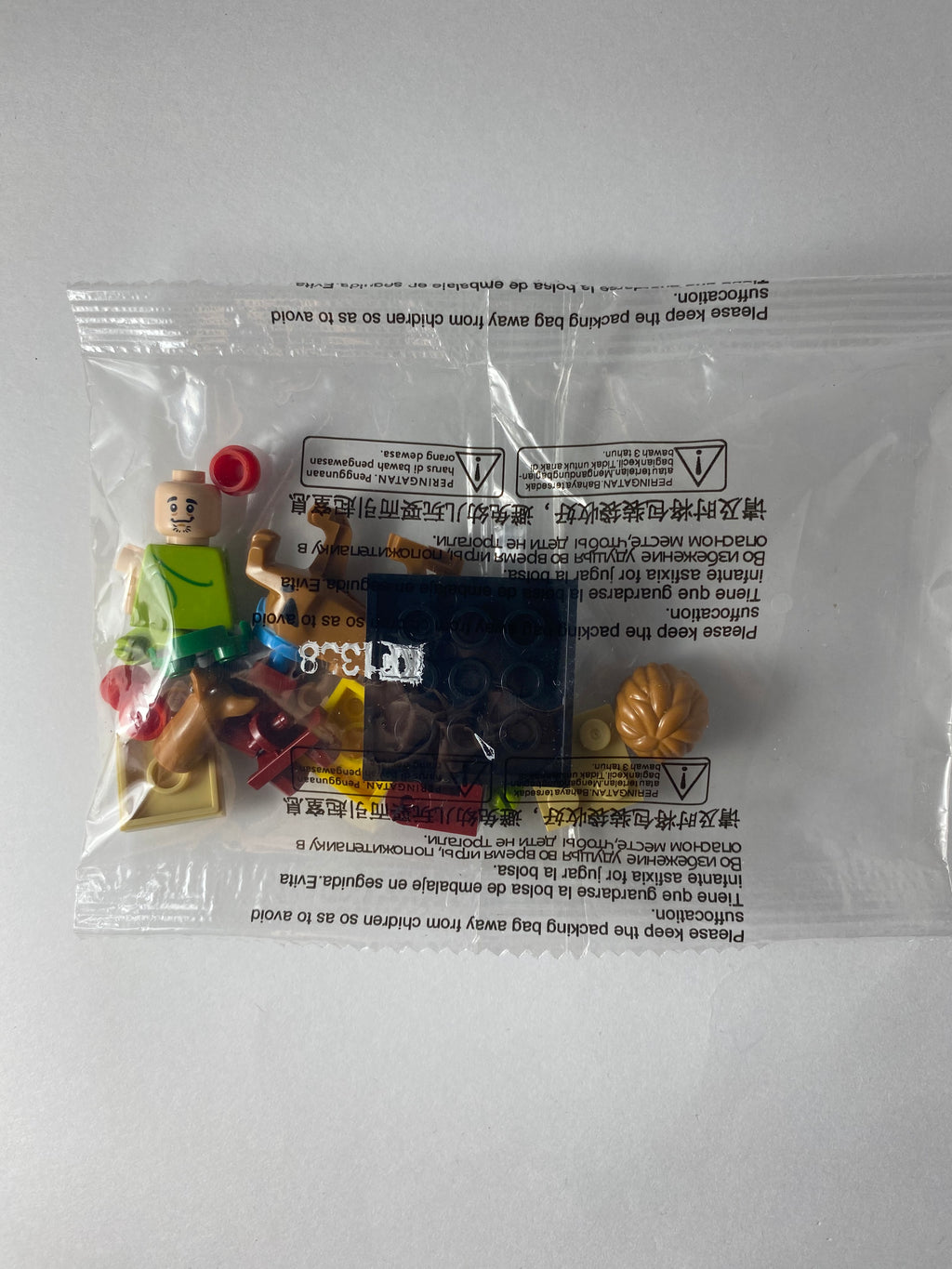 Shaggy and Scooby Doo