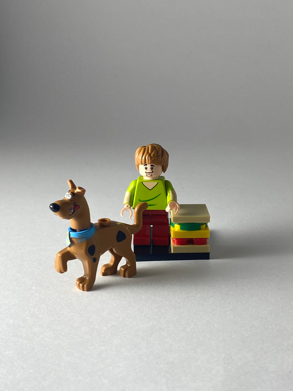 Shaggy and Scooby Doo