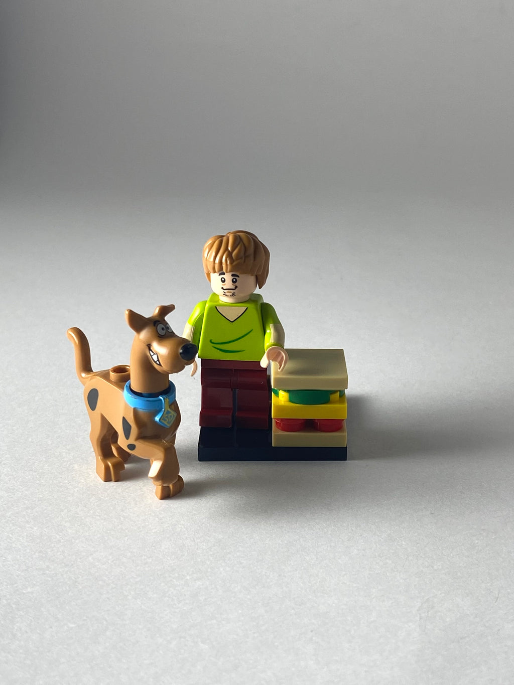 Shaggy and Scooby Doo