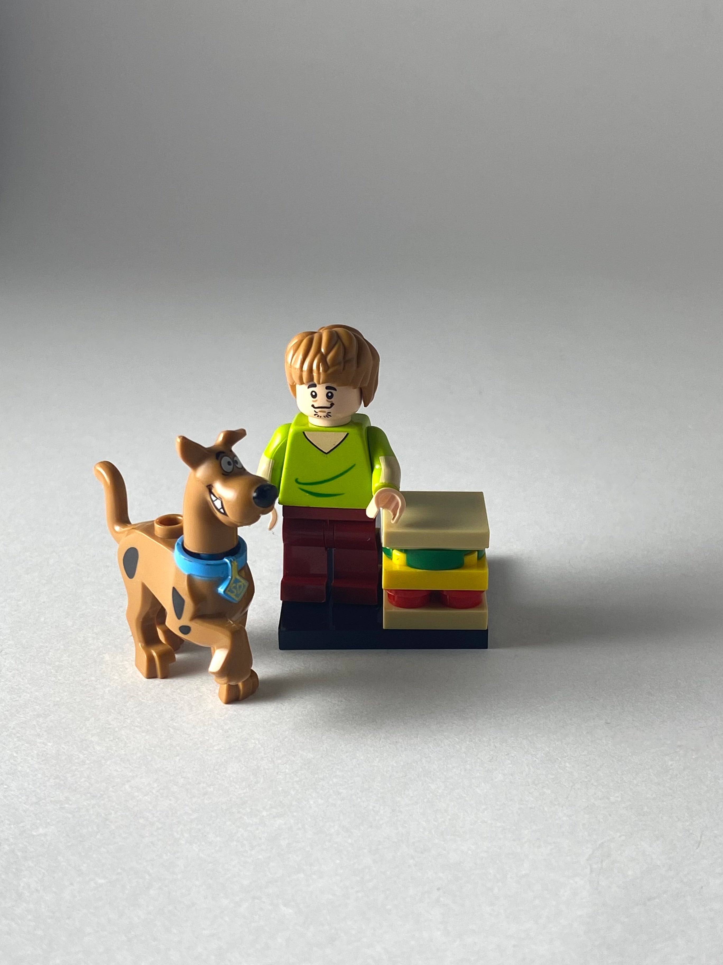 Shaggy and Scooby Doo