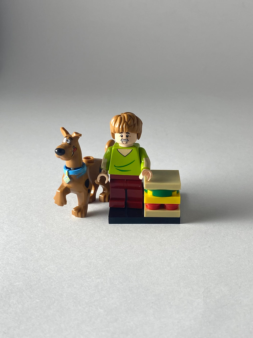 Shaggy and Scooby Doo