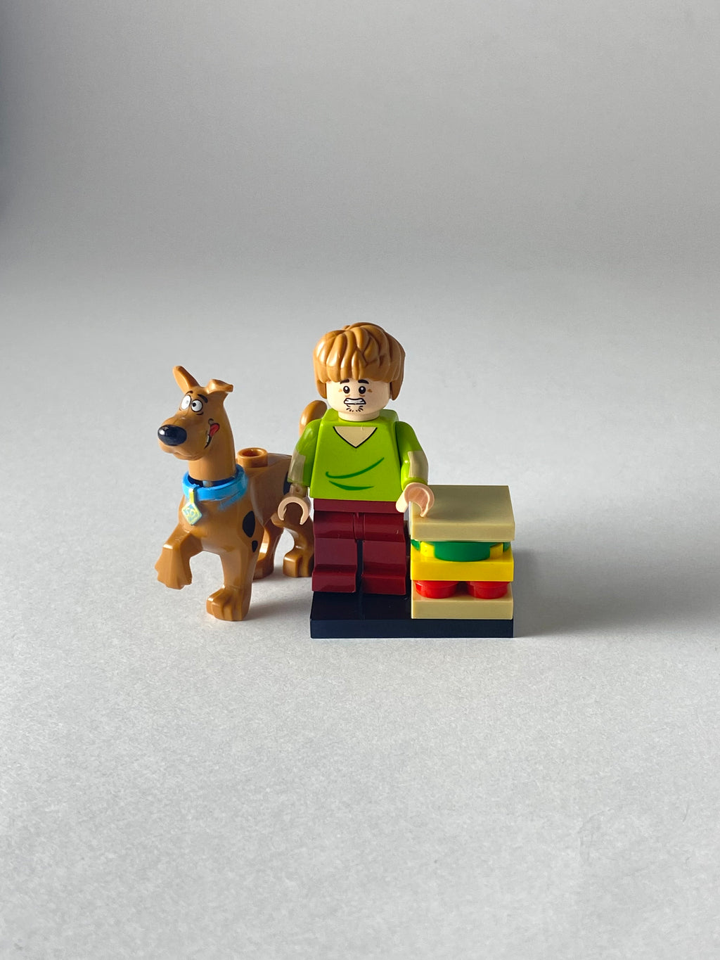 Shaggy and Scooby Doo