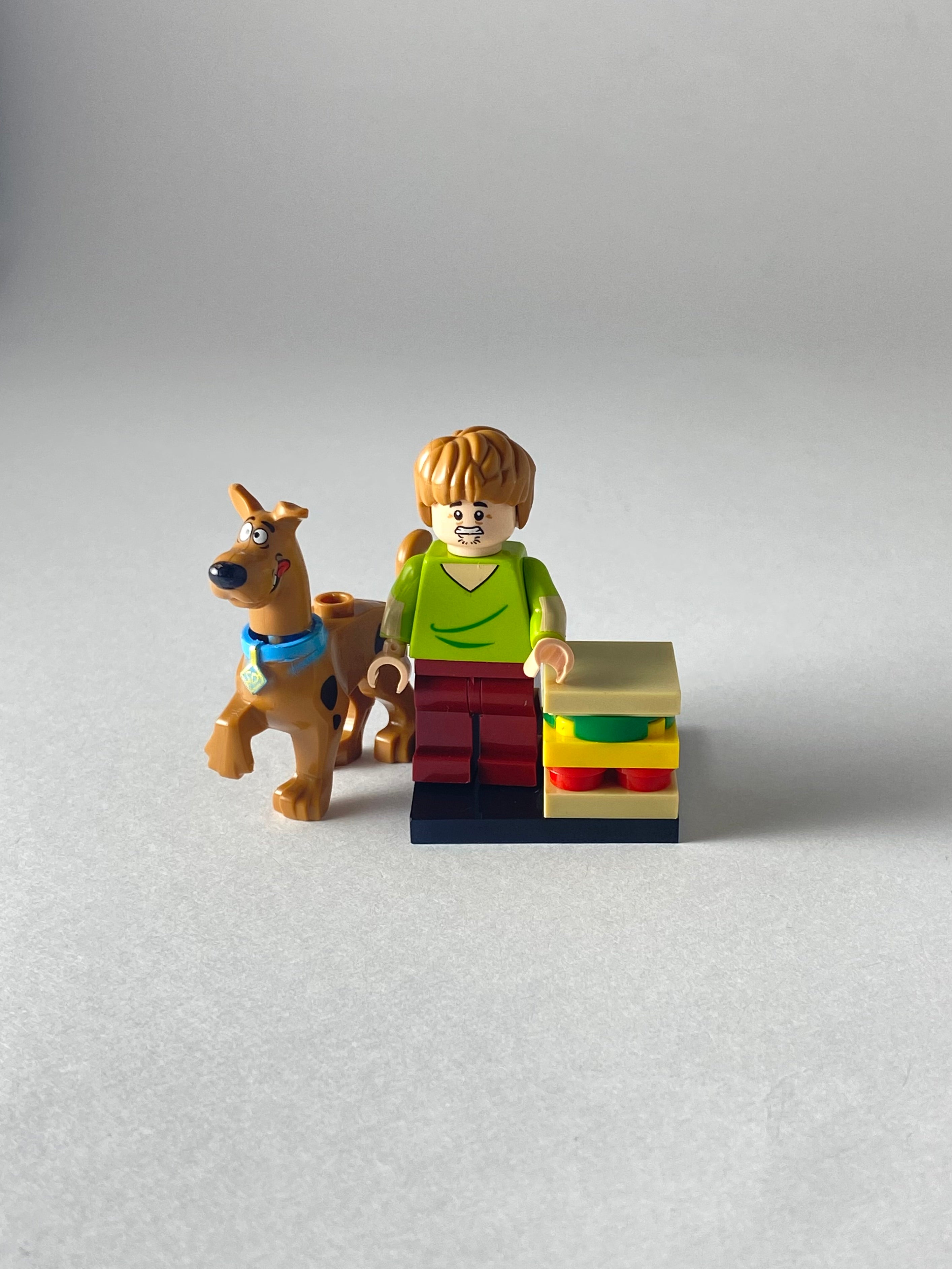 Shaggy and Scooby Doo