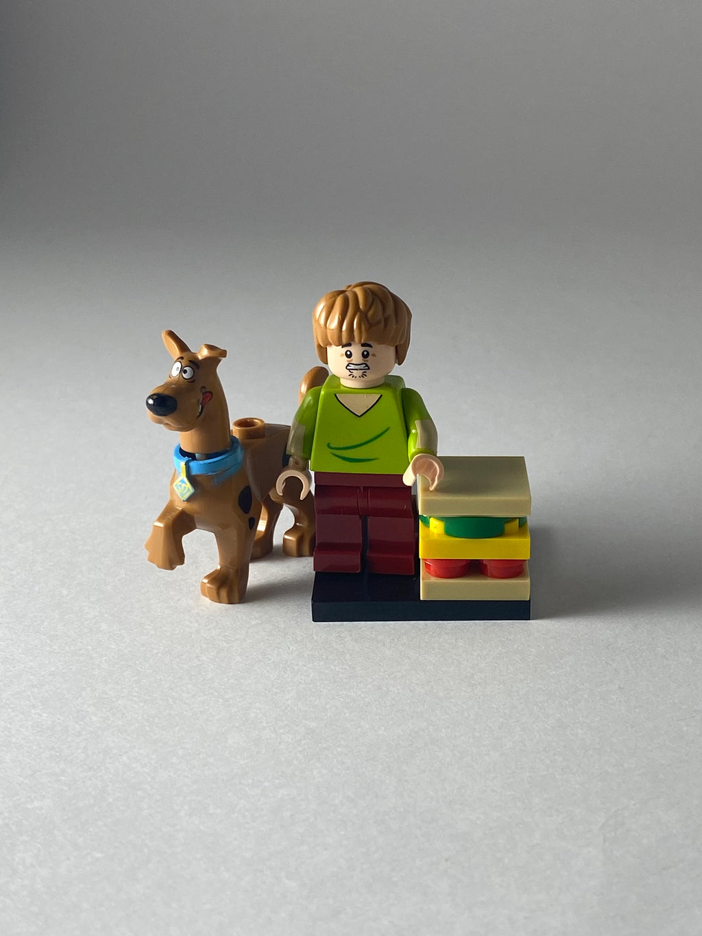 Shaggy and Scooby Doo
