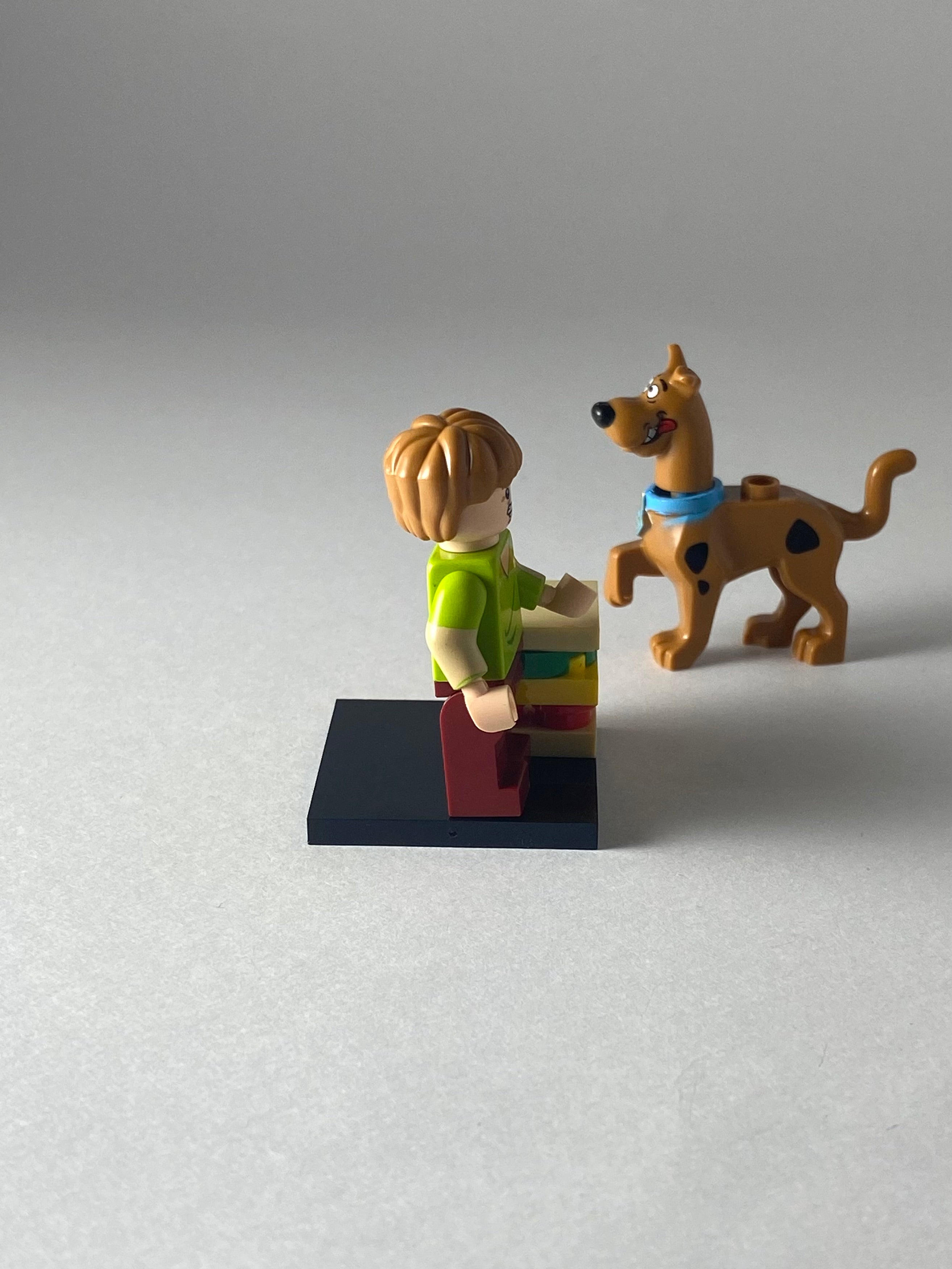 Shaggy and Scooby Doo