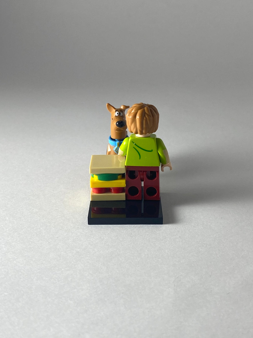 Shaggy and Scooby Doo