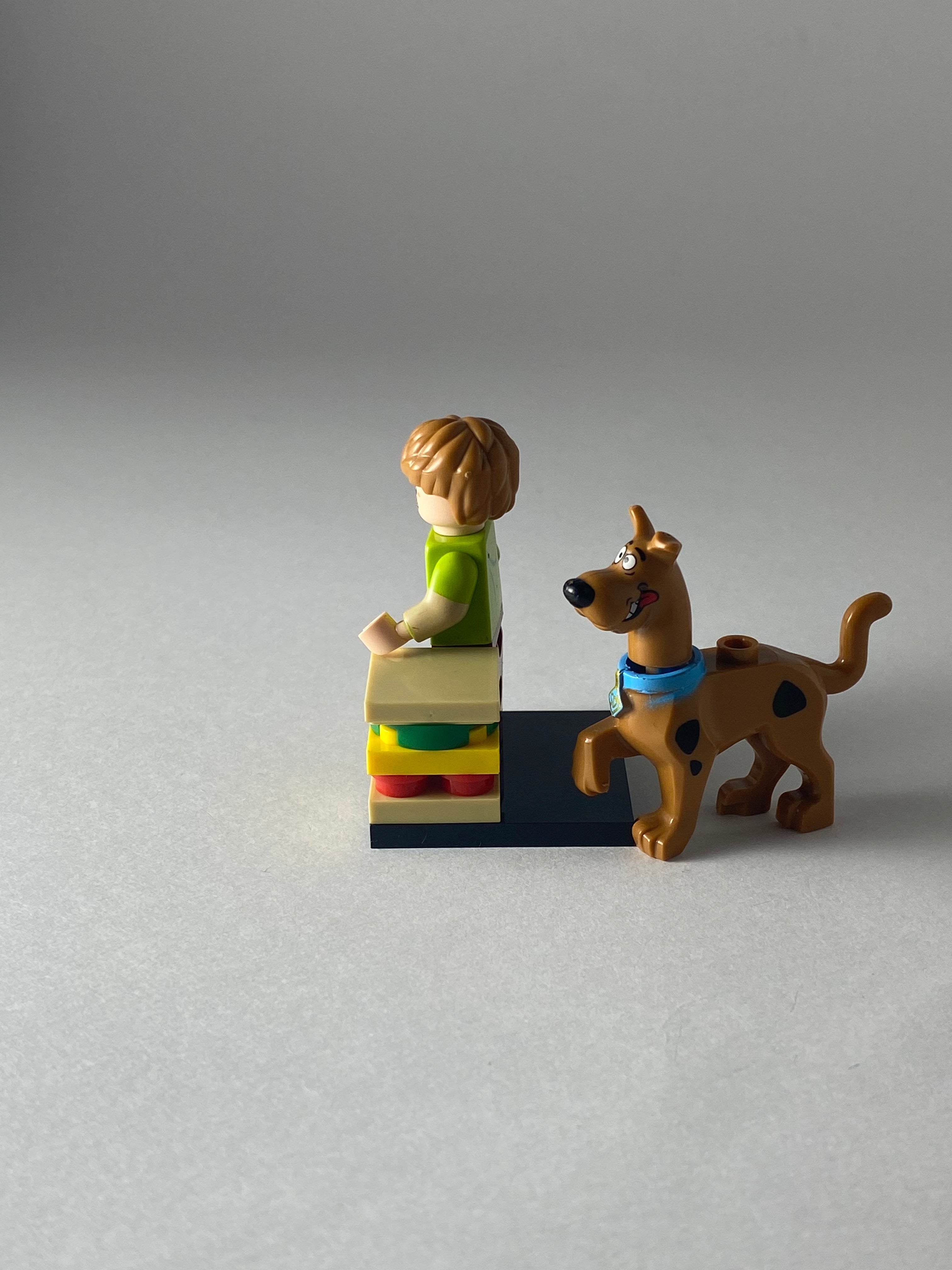 Shaggy and Scooby Doo