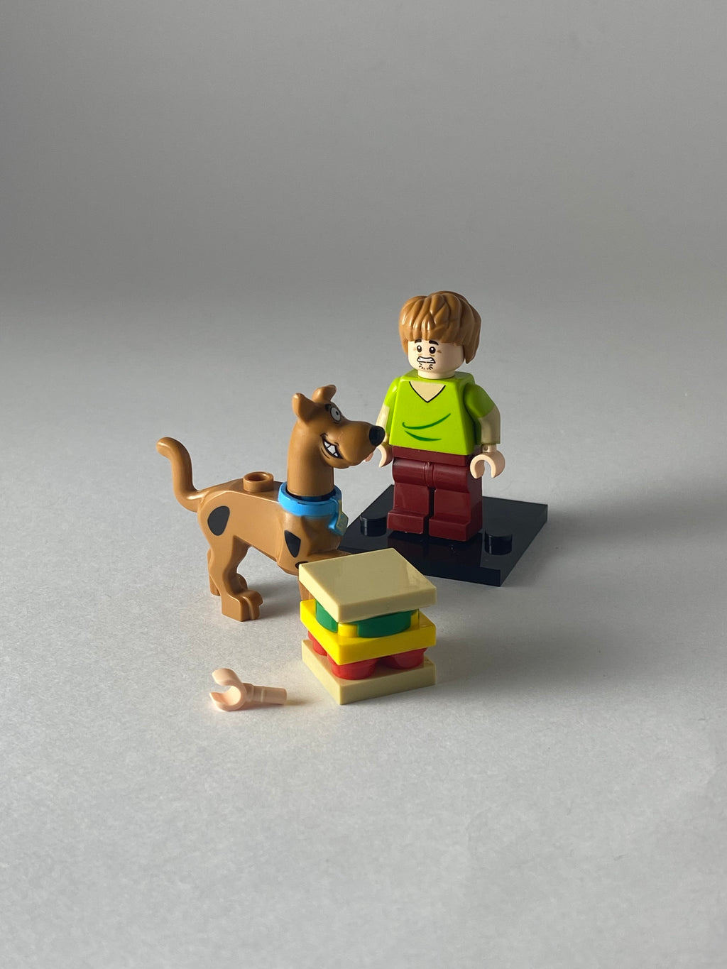 Shaggy and Scooby Doo