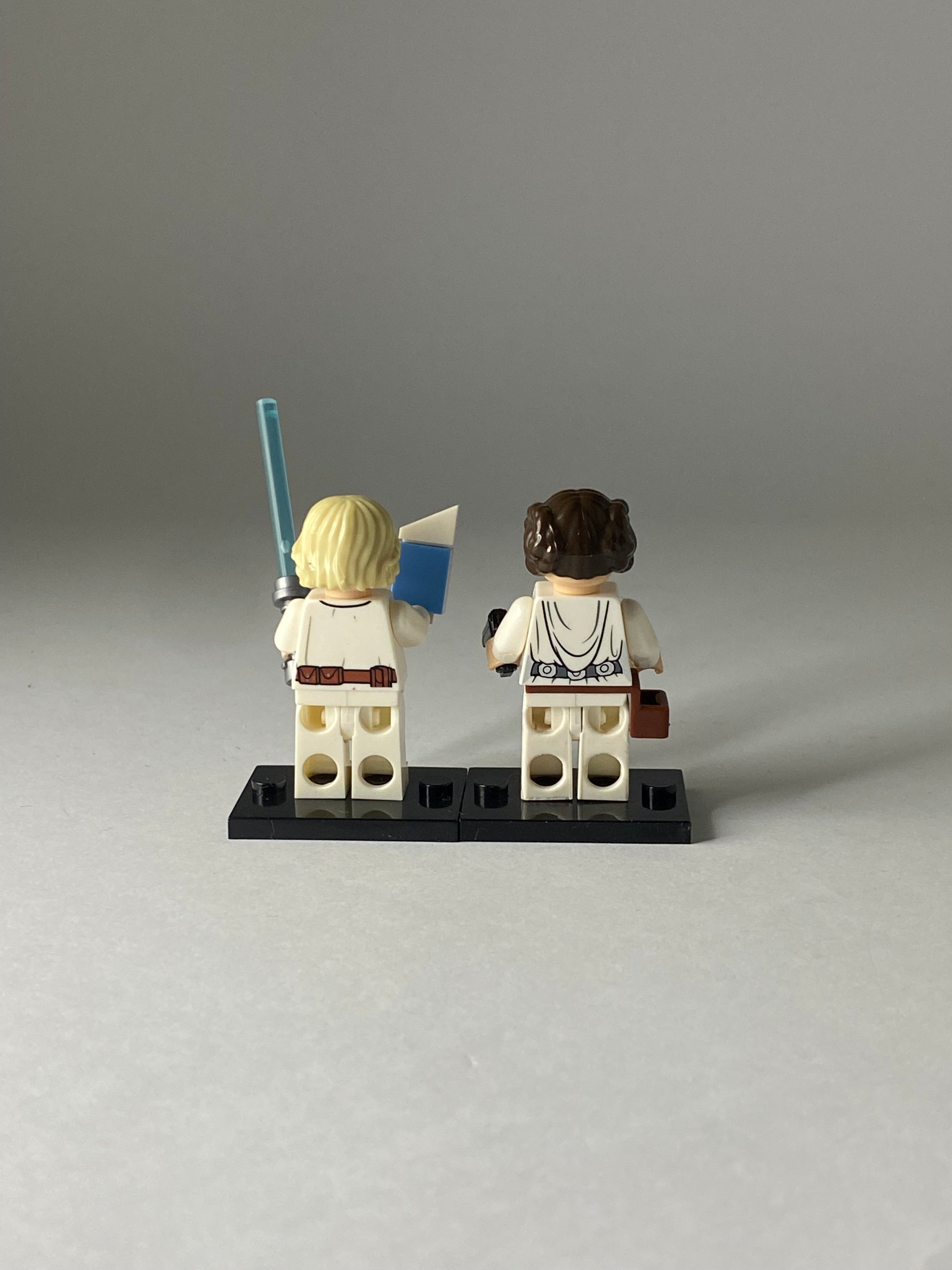 Luke Skywalker and Leia Organa