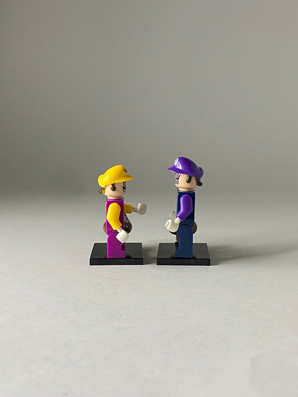 Wario and Waluigi