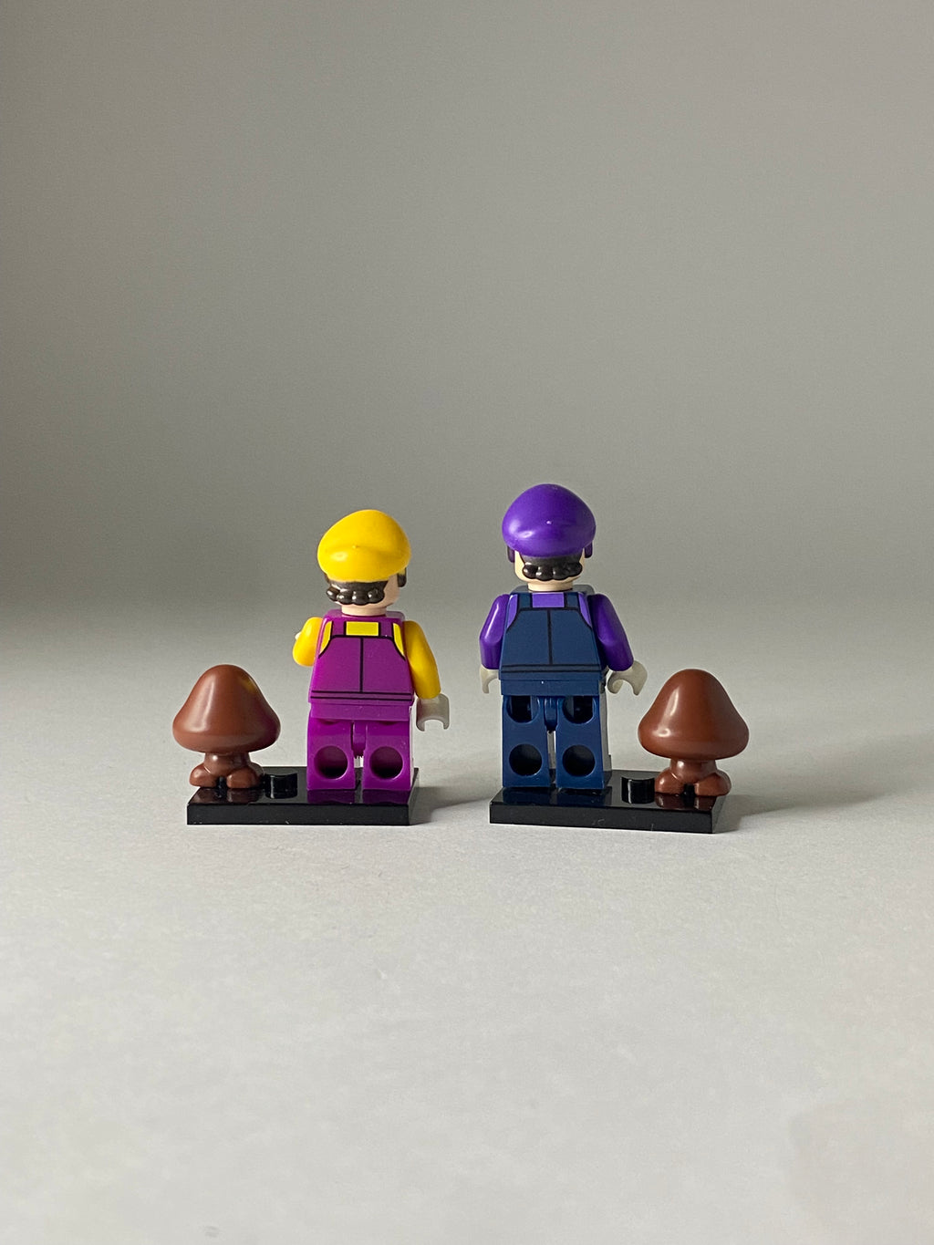 Wario and Waluigi