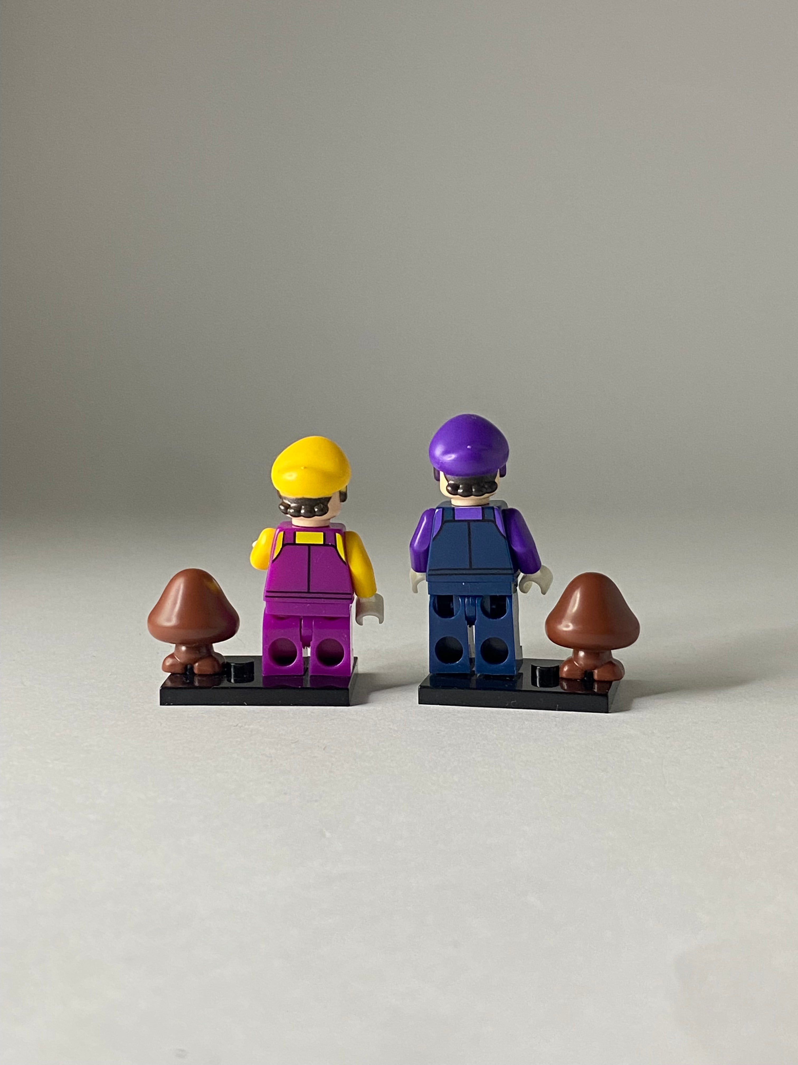Wario and Waluigi