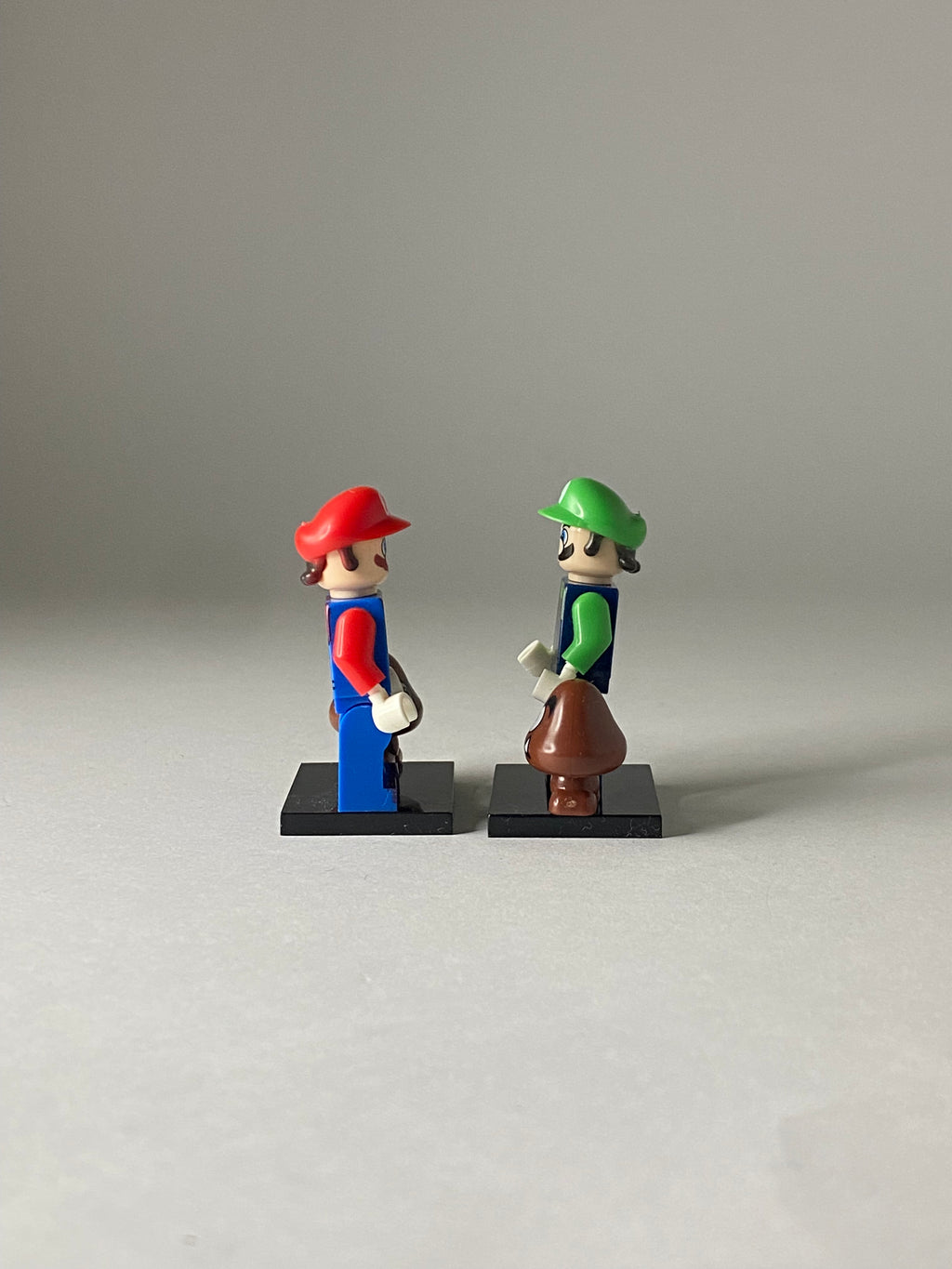 Mario and Luigi