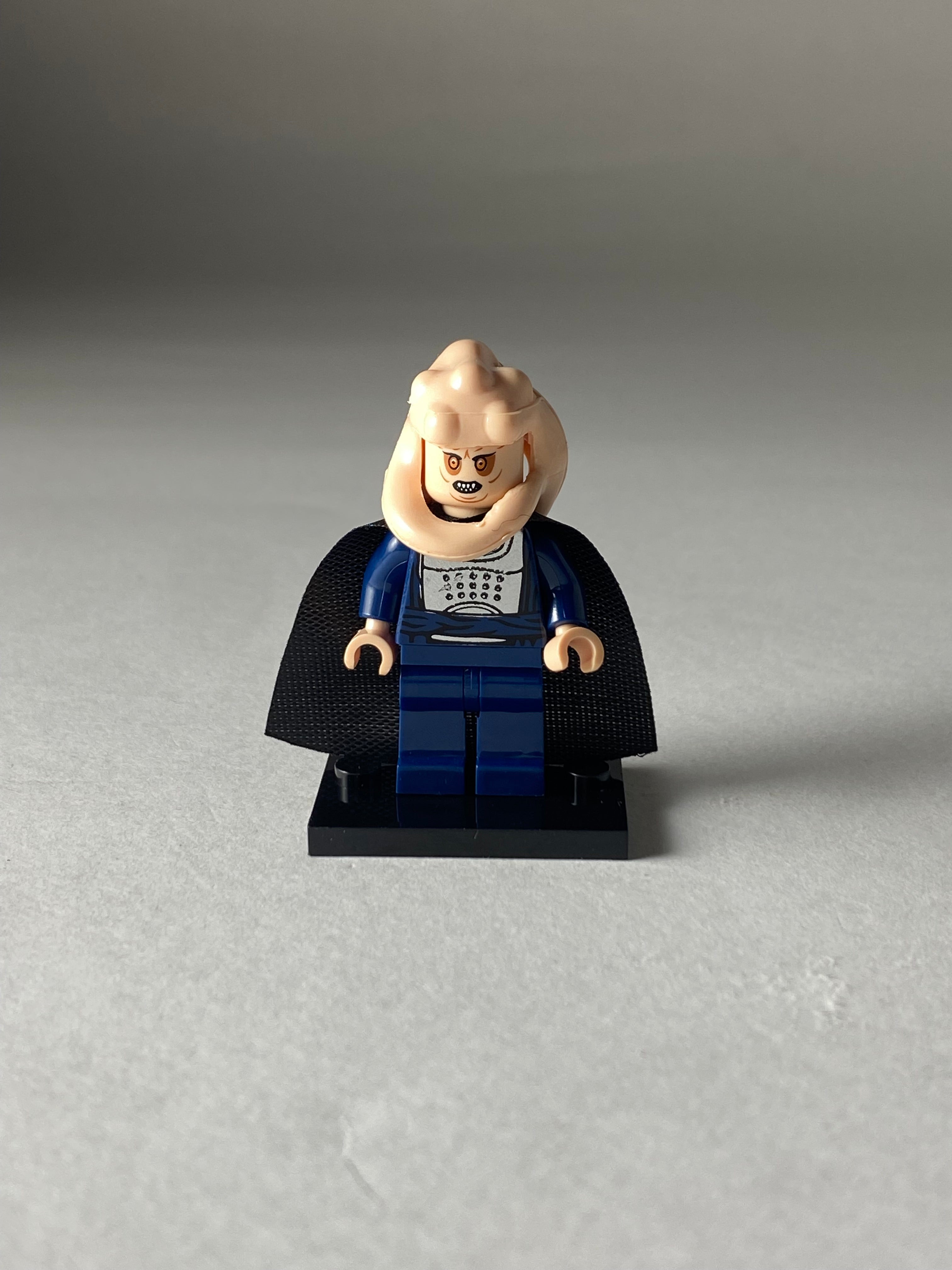 Bib Fortuna
