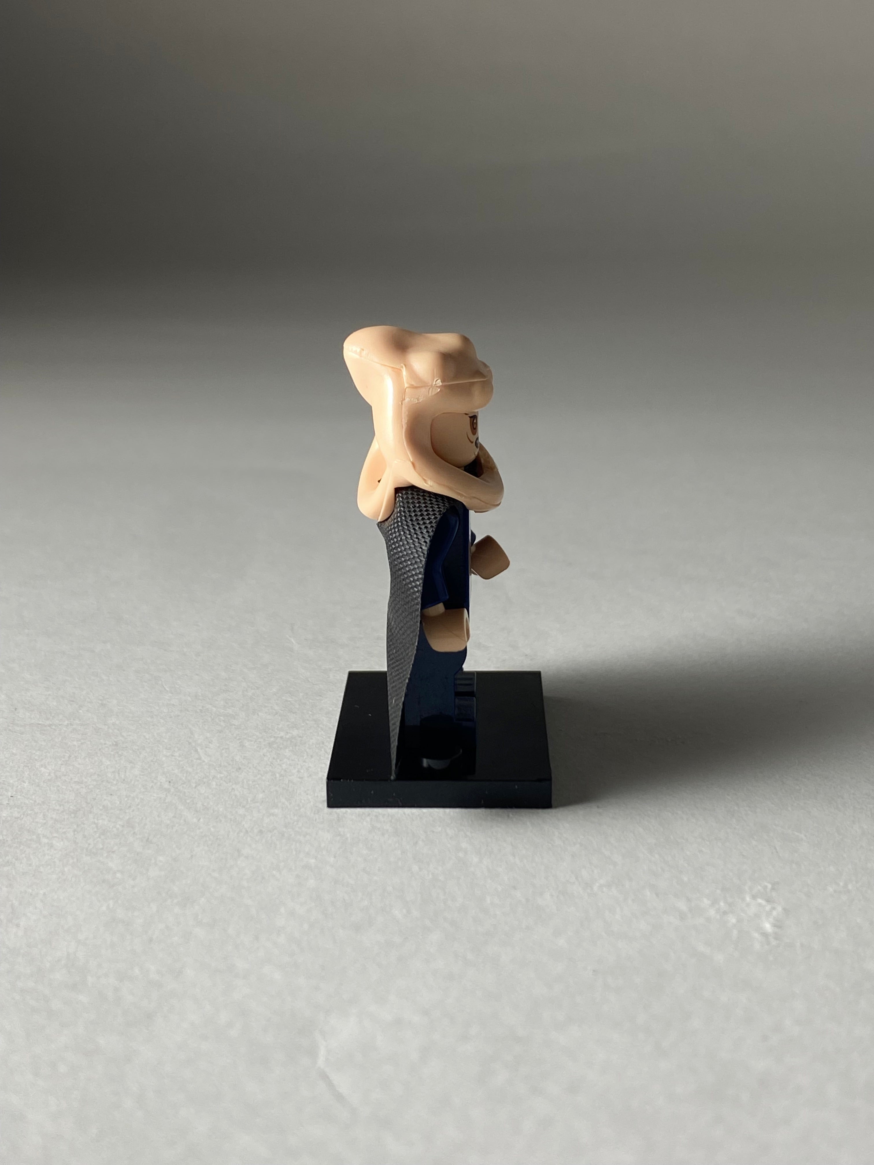 Bib Fortuna