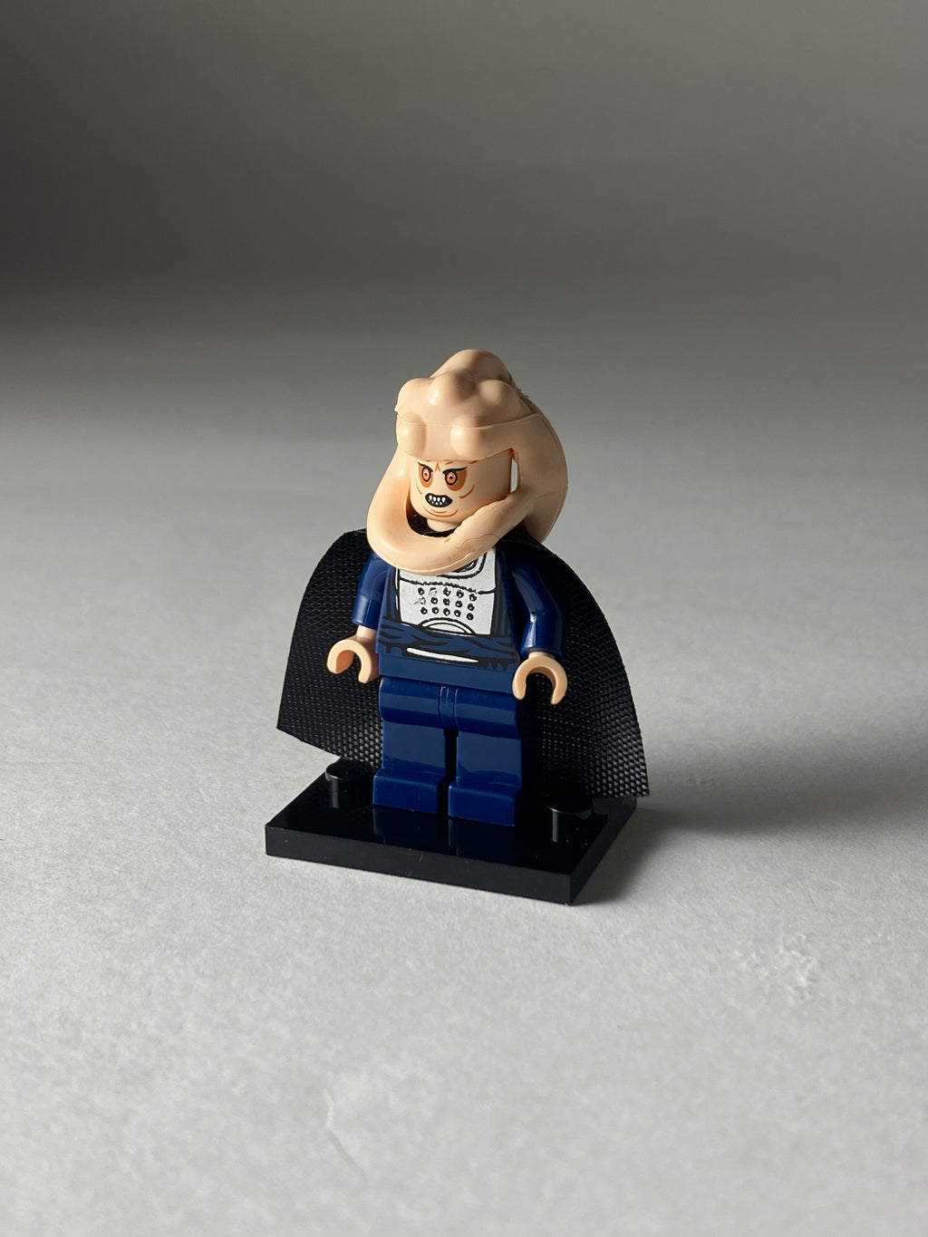 Bib Fortuna
