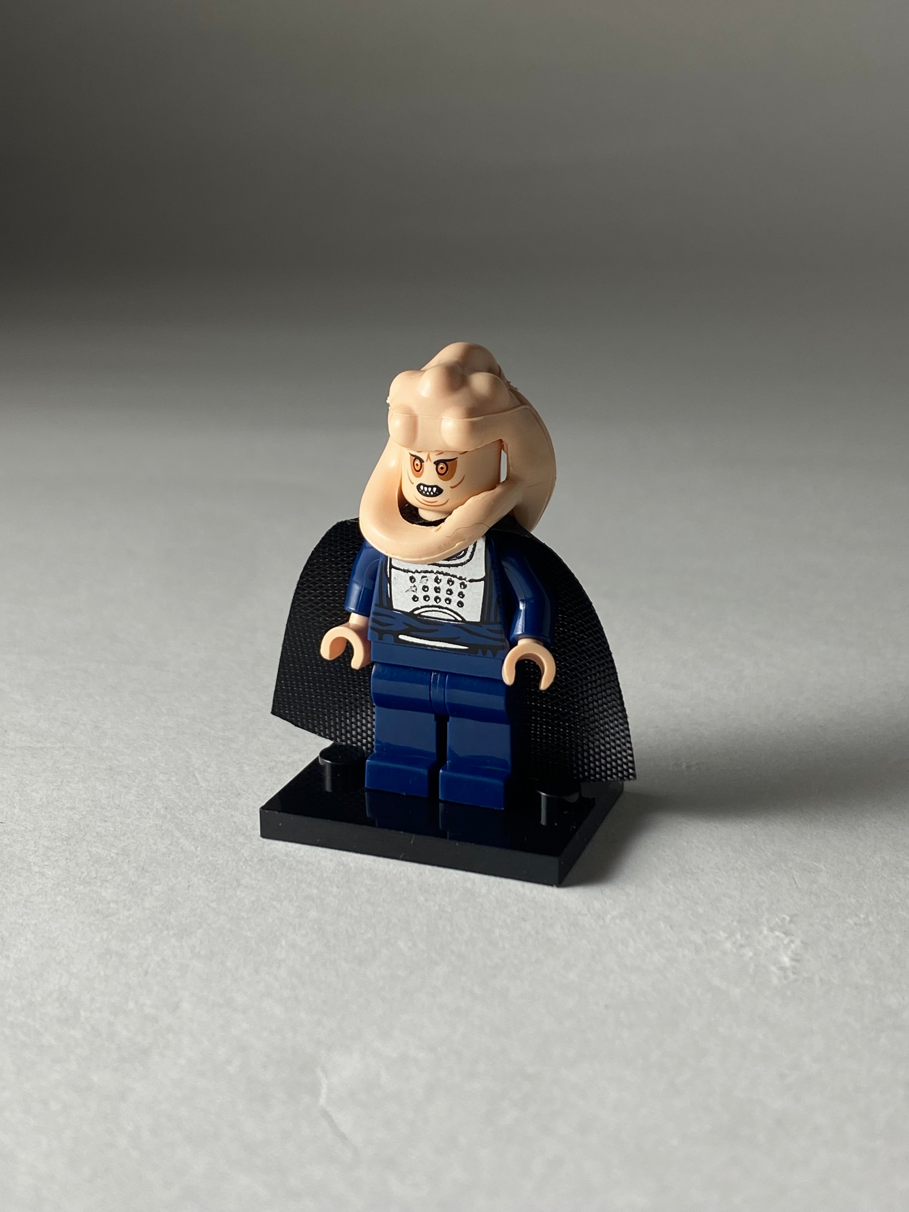 Bib Fortuna