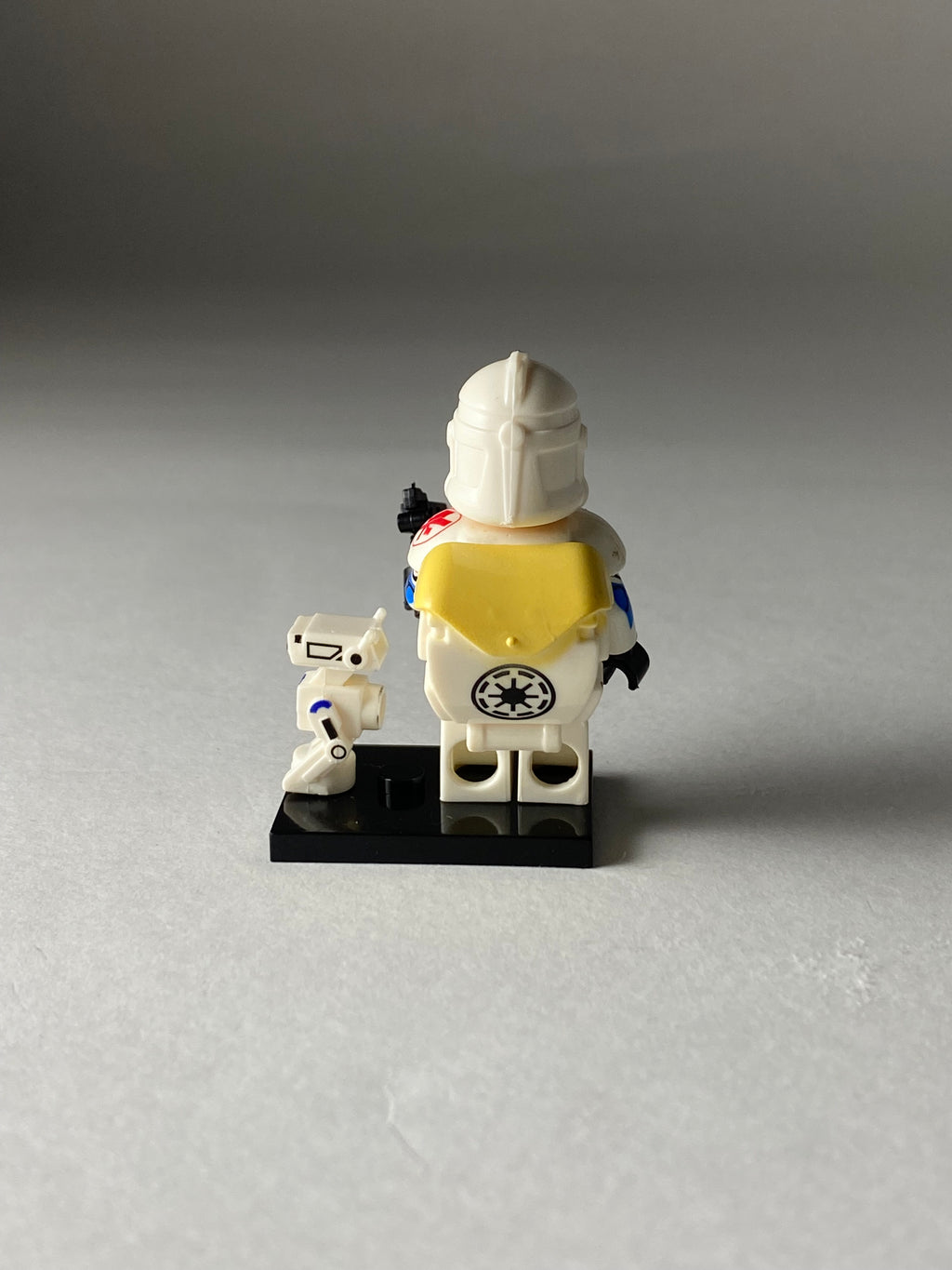Clone Medic Trooper and BD Droid