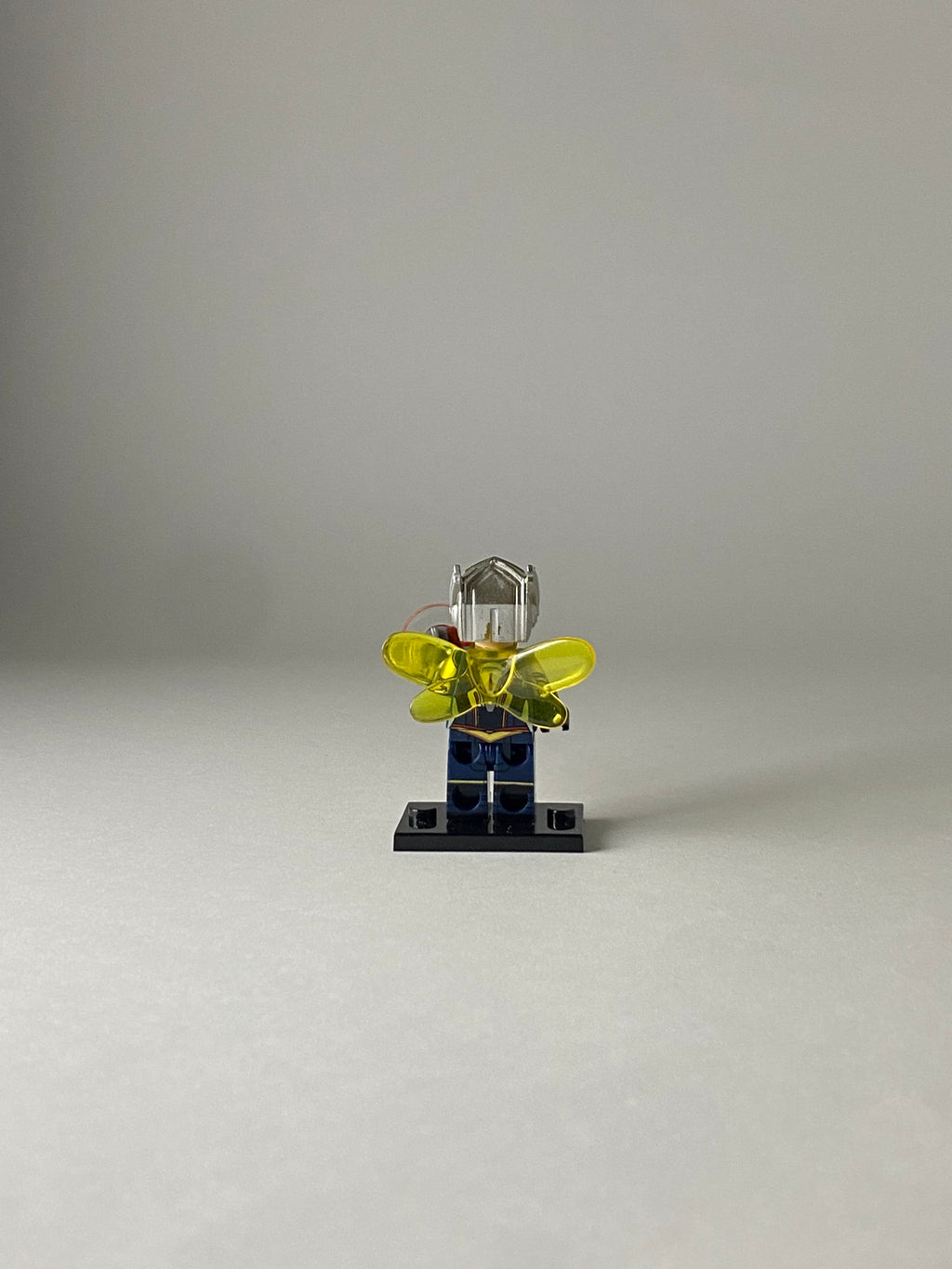 The Wasp