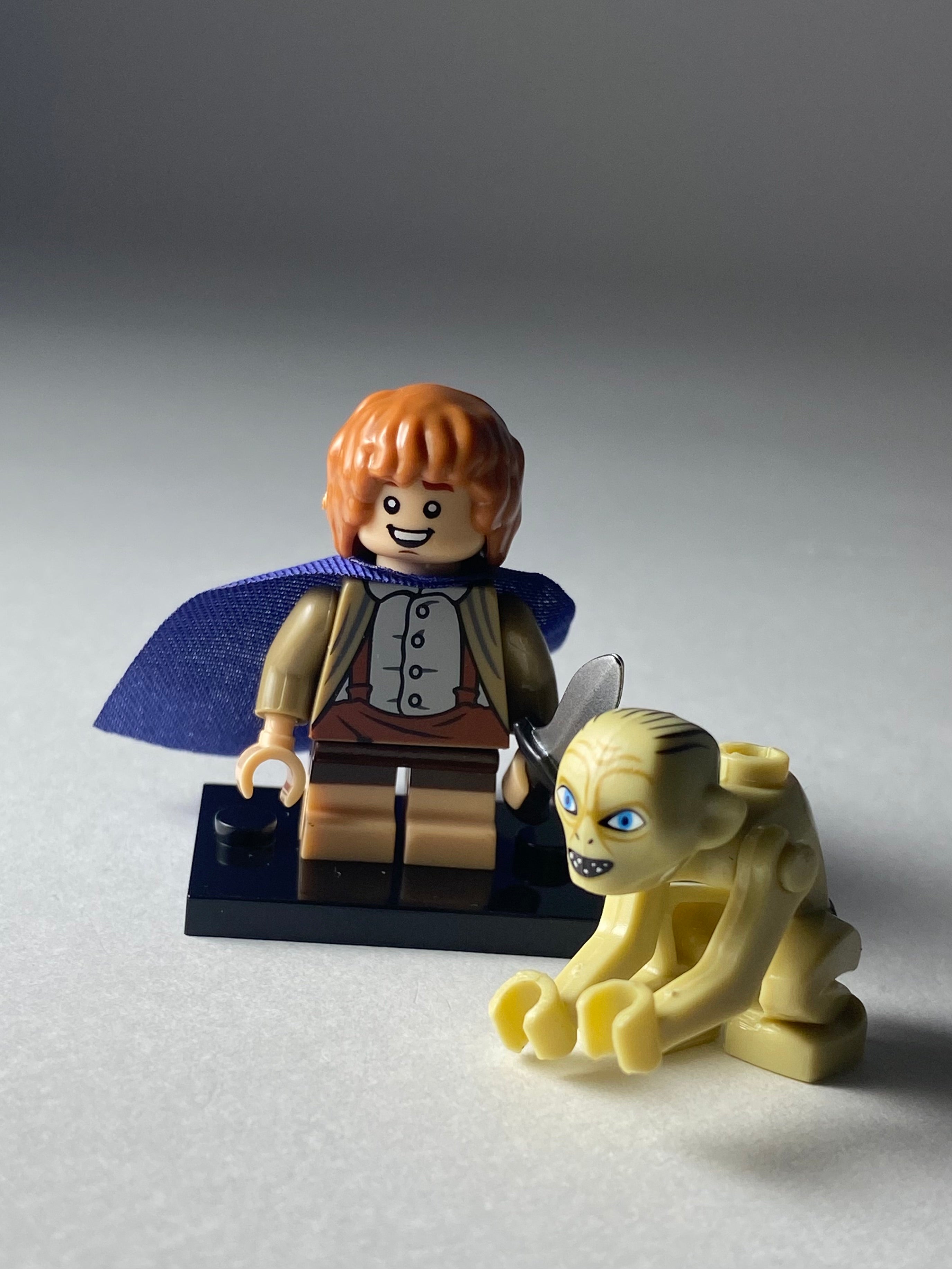 Samvise Gamgee and Gollum