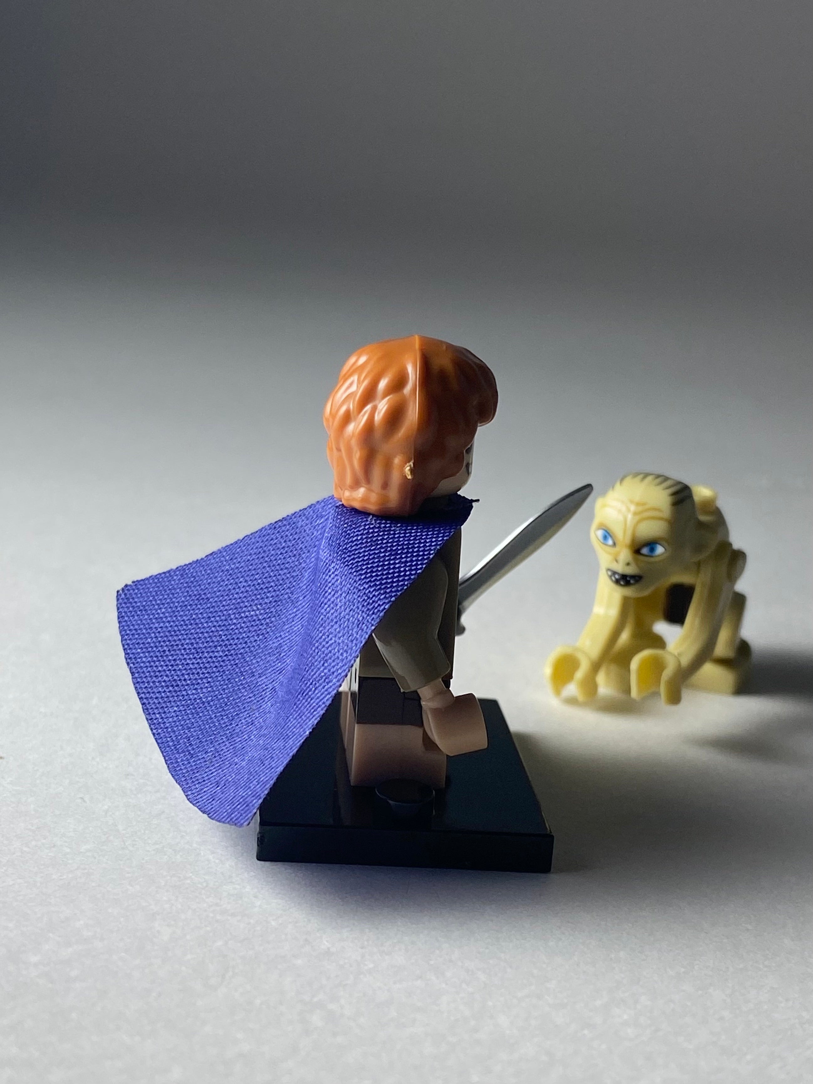 Samvise Gamgee and Gollum