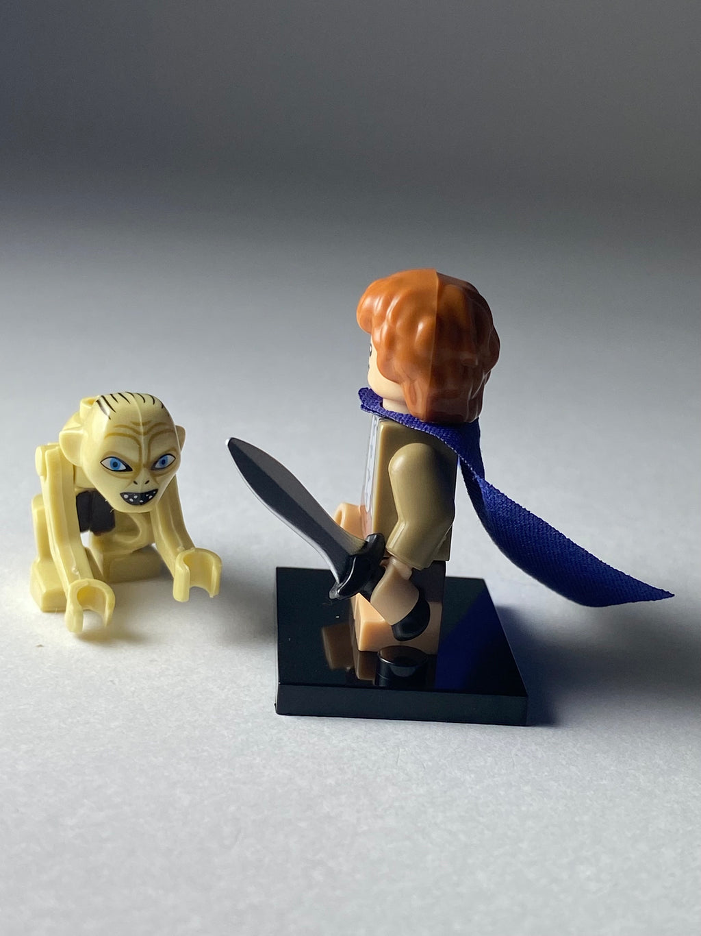 Samvise Gamgee and Gollum