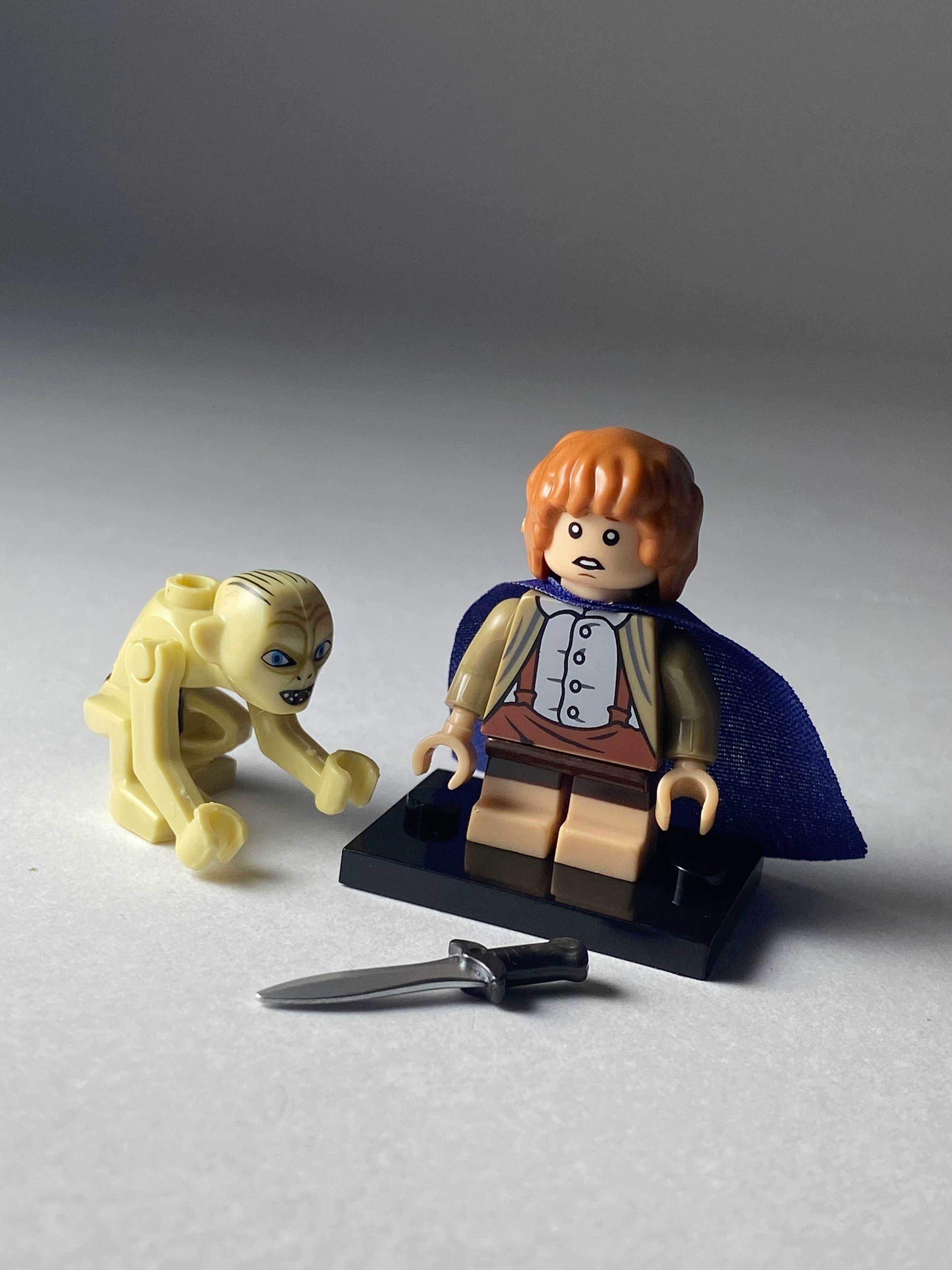 Samvise Gamgee and Gollum