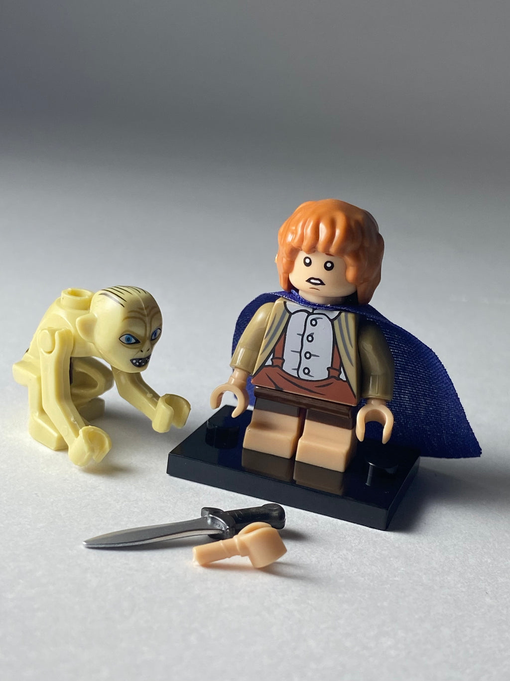 Samvise Gamgee and Gollum