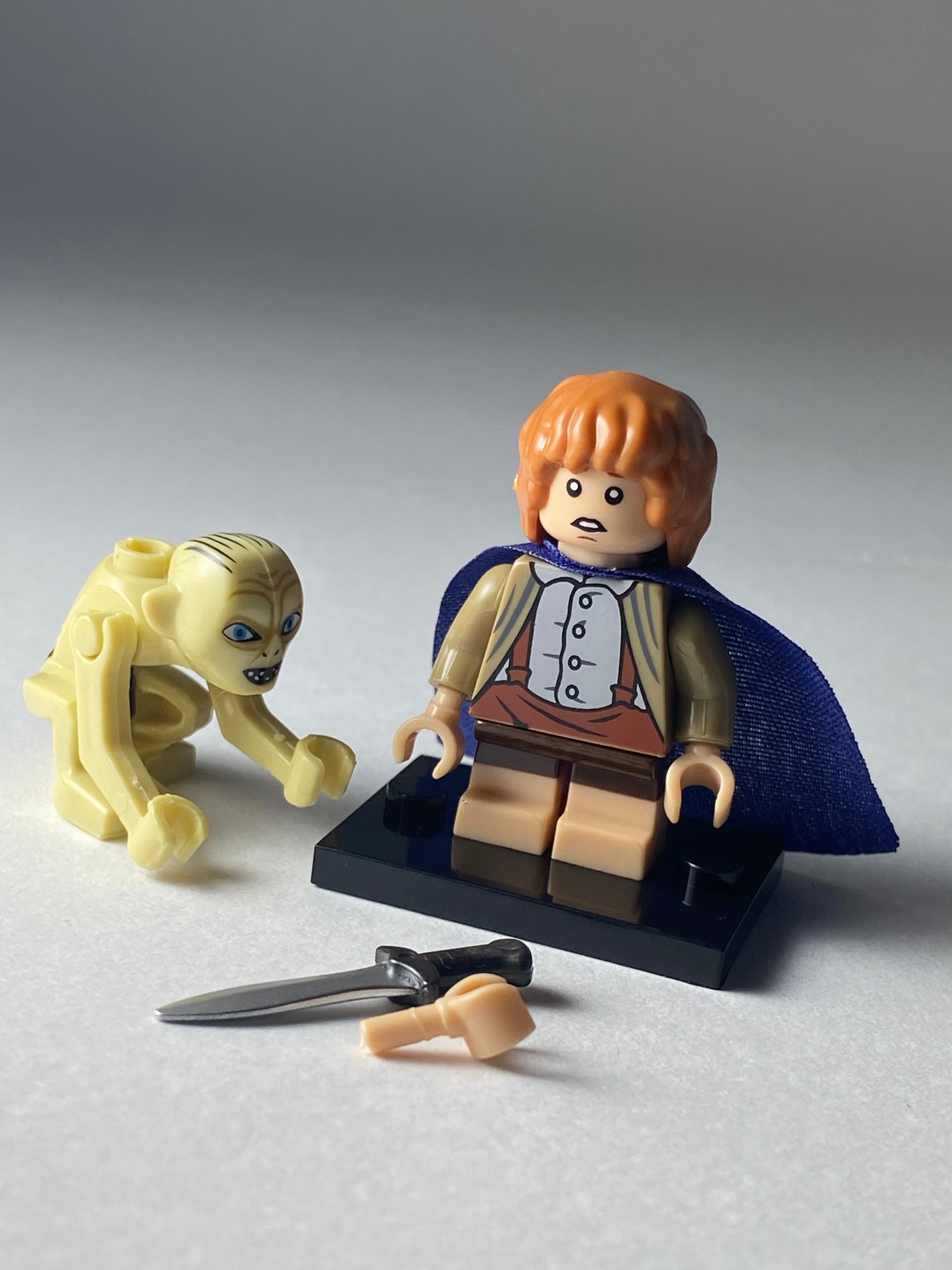 Samvise Gamgee and Gollum