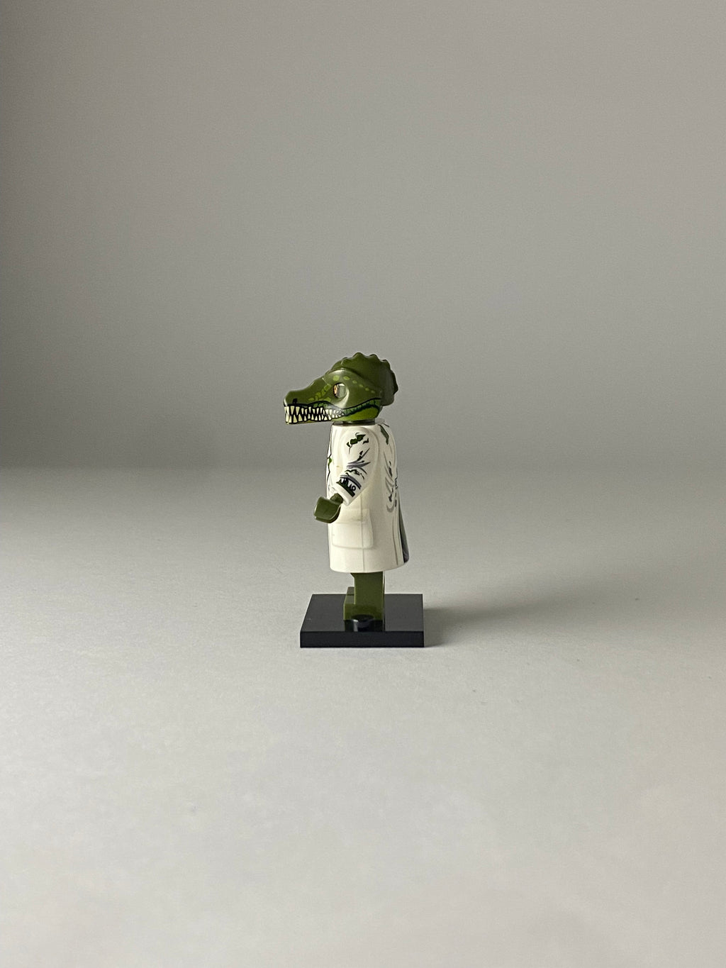 Lizard