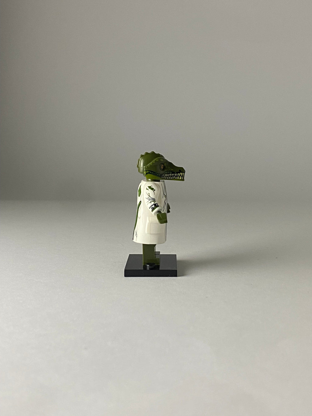 Lizard