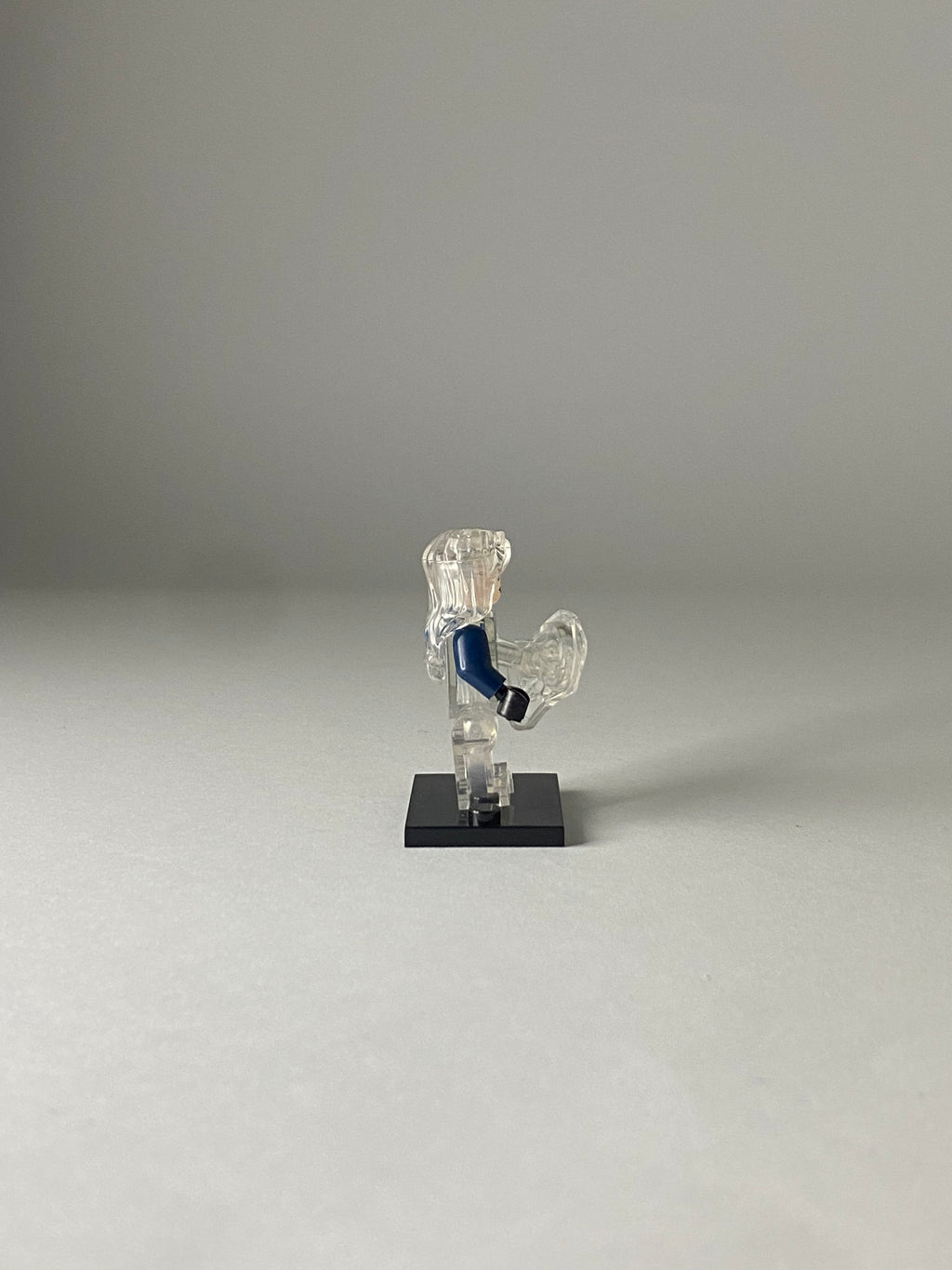 Invisible Woman